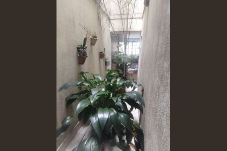 Casa à venda com 165m², 2 quartos e 3 vagasFoto 35