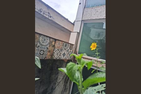 Casa à venda com 280m², 6 quartos e 6 vagasFoto 25
