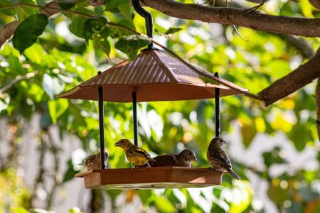 Casa para alugar com 200m², 4 quartos e sem vagaÁrea externa