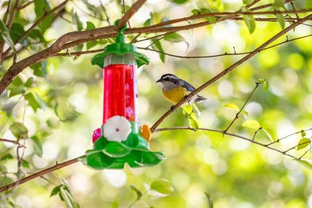 Casa para alugar com 200m², 4 quartos e sem vagaÁrea externa