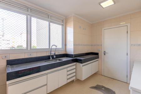 Apartamento para alugar com 162m², 4 quartos e 3 vagas Apartamento para alugar com 162m², 4 quartos e 3 vagasCozinha