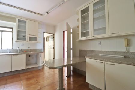 Apartamento para alugar com 203m², 4 quartos e 2 vagasCozinha