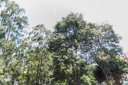 Casa de condomínio para alugar com 300m², 4 quartos e 4 vagasÁrea comum