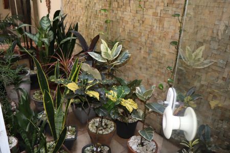 Casa para alugar com 200m², 3 quartos e 4 vagasGarden