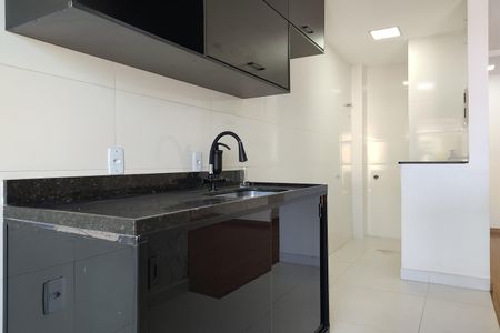 Apartamento para alugar com 60m², 2 quartos e 1 vagaCozinha - Armários
