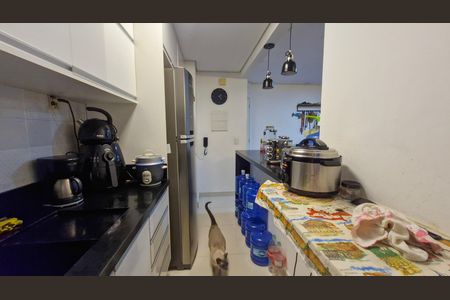 Sala - Cozinha de apartamento para alugar com 3 quartos, 98m² em Usina Piratininga, São Paulo
