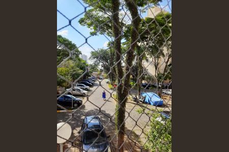 Apartamento à venda com 52m², 2 quartos e 1 vagaVista da janela