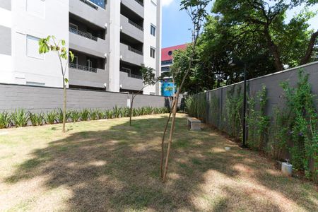 Apartamento para alugar com 36m², 2 quartos e sem vagaÁrea comum - Espaço pet