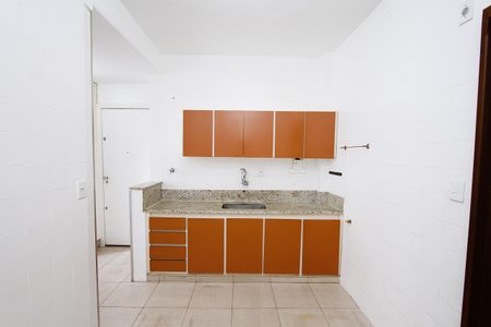 Cozinha de apartamento para alugar com 3 quartos, 110m² em Santa Lúcia, Belo Horizonte