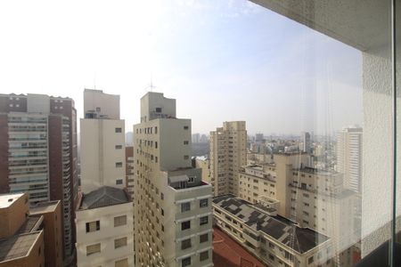 Apartamento para alugar com 38m², 1 quarto e 1 vagaVista da sacda