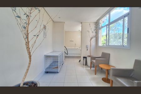 Apartamento para alugar com 70m², 3 quartos e 1 vaga Apartamento para alugar com 70m², 3 quartos e 1 vagaÁrea Pet