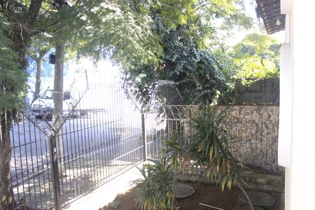 Casa para alugar com 250m², 2 quartos e sem vagaQuintal