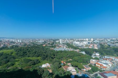 Apartamento à venda com 2 quartos, 45m² em Juliana, Belo Horizonte