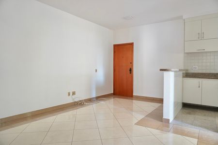 Sala  de apartamento para alugar com 2 quartos, 80m² em Lourdes, Belo Horizonte