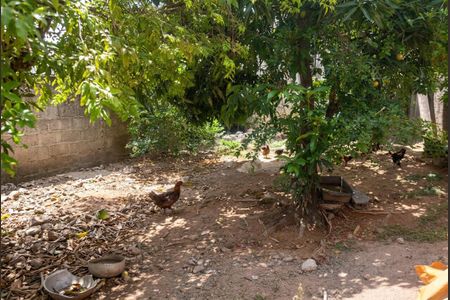 Casa à venda com 430m², 4 quartos e 4 vagas