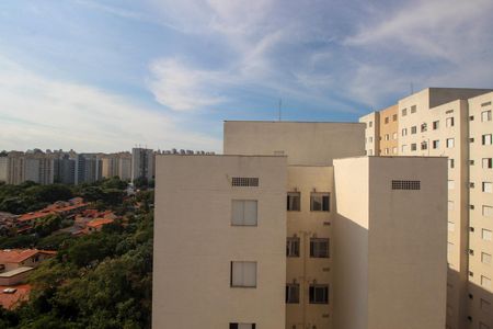 Vista da Suíte de apartamento para alugar com 3 quartos, 57m² em Vila Pirajussara, São Paulo
