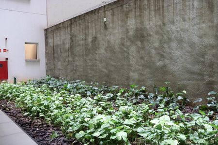 Apartamento para alugar com 25m², 1 quarto e sem vagaÁrea Comum 