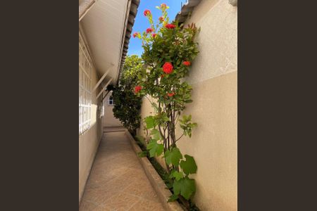 Casa para alugar com 250m², 4 quartos e 2 vagasÁrea externa