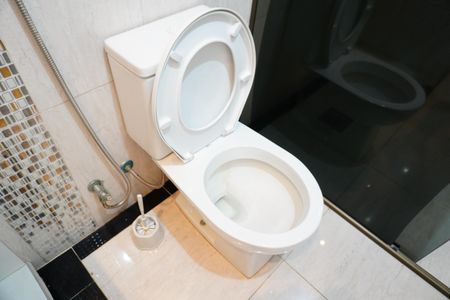 Casa para alugar com 535m², 5 quartos e 4 vagasBanheiro Social