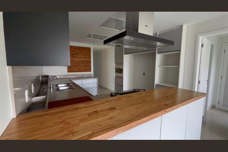 Apartamento para alugar com 260m², 4 quartos e 3 vagas Apartamento para alugar com 260m², 4 quartos e 3 vagasCozinha