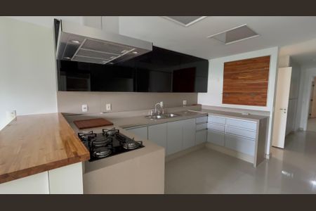 Apartamento para alugar com 260m², 4 quartos e 3 vagas Apartamento para alugar com 260m², 4 quartos e 3 vagasCozinha