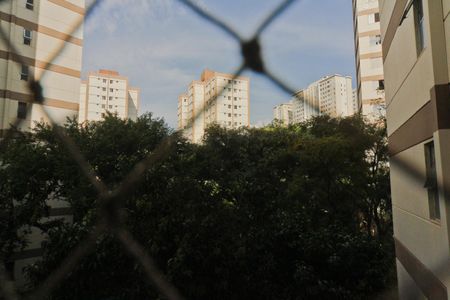 Vista de apartamento para alugar com 2 quartos, 49m² em Jardim Iris, São Paulo