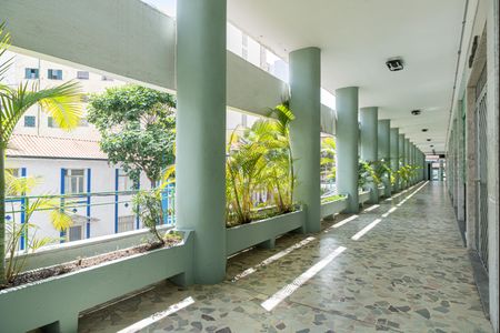 Apartamento para alugar com 96m², 3 quartos e 1 vagaÁrea comum - Hall de entrada do Edifício
