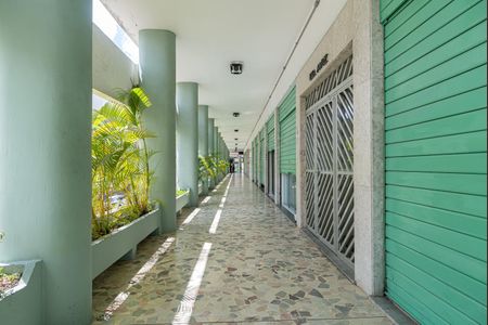 Apartamento para alugar com 96m², 3 quartos e 1 vagaÁrea comum - Hall de entrada do Edifício