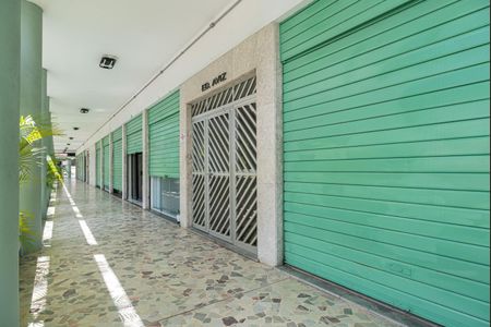 Apartamento para alugar com 96m², 3 quartos e 1 vagaÁrea comum - Hall de entrada do Edifício