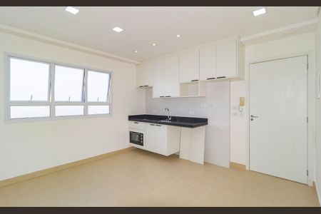 Apartamento para alugar com 40m², 1 quarto e 1 vagaCozinha
