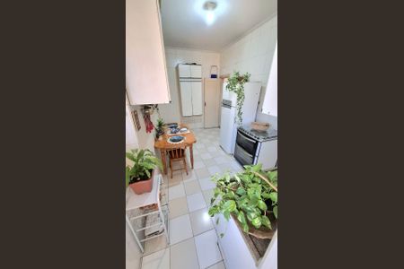 Apartamento à venda com 120m², 3 quartos e sem vagaCozinha