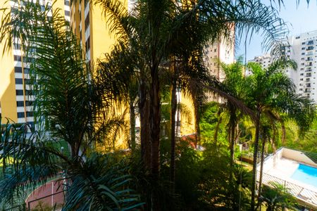 Apartamento para alugar com 75m², 3 quartos e 2 vagasVista do Quarto 1