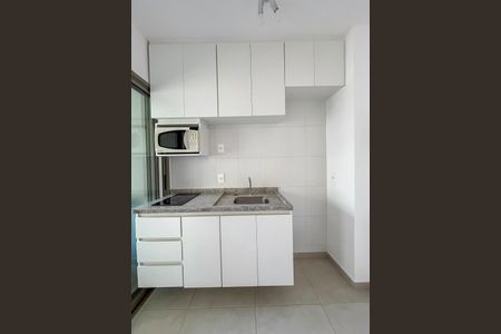 Apartamento para alugar com 30m², 1 quarto e sem vagaCozinha