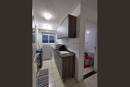 Apartamento para alugar com 52m², 2 quartos e sem vaga Apartamento para alugar com 52m², 2 quartos e sem vagaCozinha - Torneira