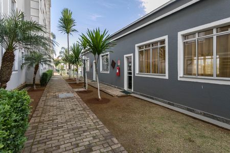 Apartamento para alugar com 55m², 2 quartos e 1 vagaÁrea Comum
