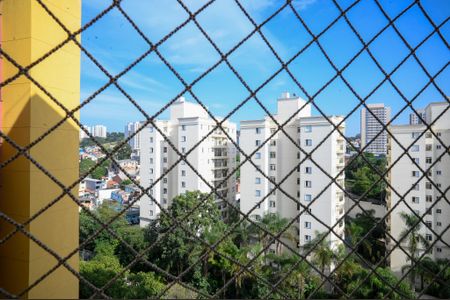 Sala - vista de apartamento para alugar com 2 quartos, 49m² em Sacoma, São Paulo