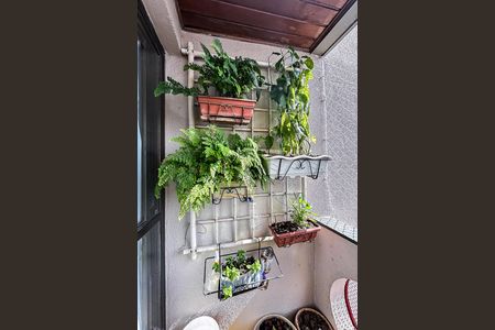 Varanda da Sala de apartamento à venda com 3 quartos, 75m² em Vila Bertioga, São Paulo