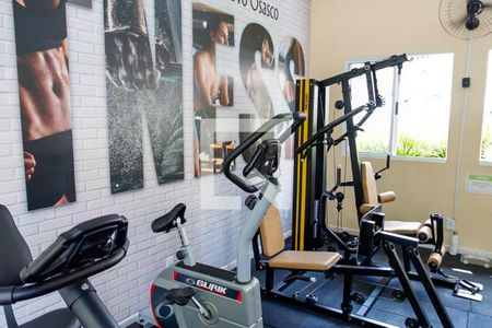 Apartamento para alugar com 54m², 2 quartos e 1 vagaÁrea comum - Academia