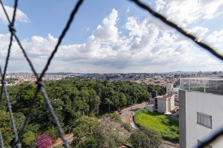 Quarto - Vista de apartamento para alugar com 3 quartos, 300m² em Castelo, Belo Horizonte