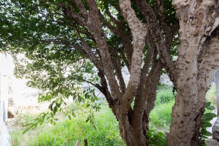 Casa para alugar com 55m², 2 quartos e sem vagaÁrea Externa Casa