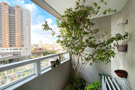 Varanda da Sala de apartamento à venda com 3 quartos, 78m² em Nova Suíça, Belo Horizonte