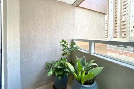 Varanda da Sala de apartamento à venda com 3 quartos, 78m² em Nova Suíça, Belo Horizonte