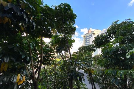 Vista da Sala de apartamento à venda com 3 quartos, 120m² em Luxemburgo, Belo Horizonte