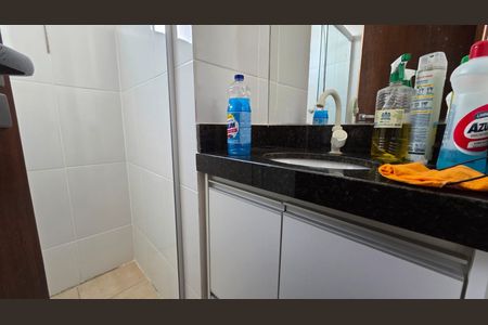 Banheiro Social de apartamento à venda com 2 quartos, 66m² em Nossa Senhora de Lourdes, Lagoa Santa