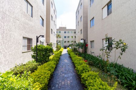 Apartamento à venda com 48m², 3 quartos e 1 vagaÁrea externa