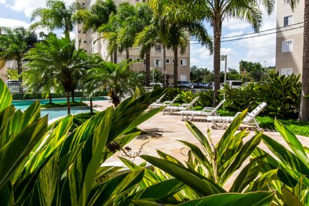 Apartamento para alugar com 69m², 2 quartos e 1 vagaPiscina