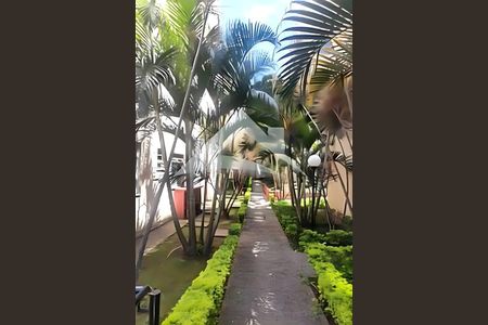 Apartamento à venda com 3 quartos, 70m² em Jardim Umarizal, São Paulo