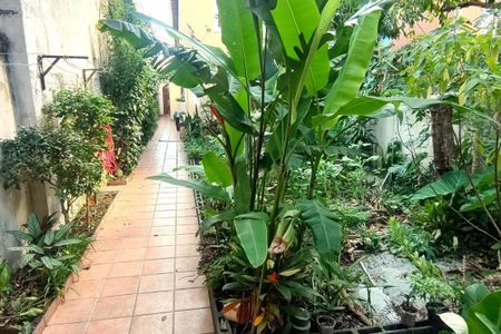 Casa à venda com 250m², 3 quartos e 2 vagas