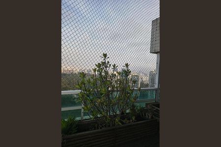 Apartamento à venda com 260m², 4 quartos e 4 vagas