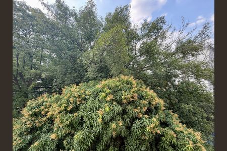 Apartamento à venda com 35m², 2 quartos e sem vagaVista Quarto 1